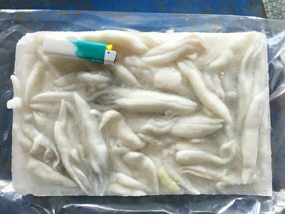 魷魚膘 1kg 1包 0